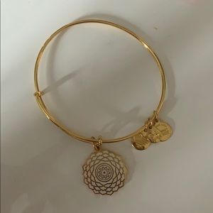 Alex and Ani-Crown Charka